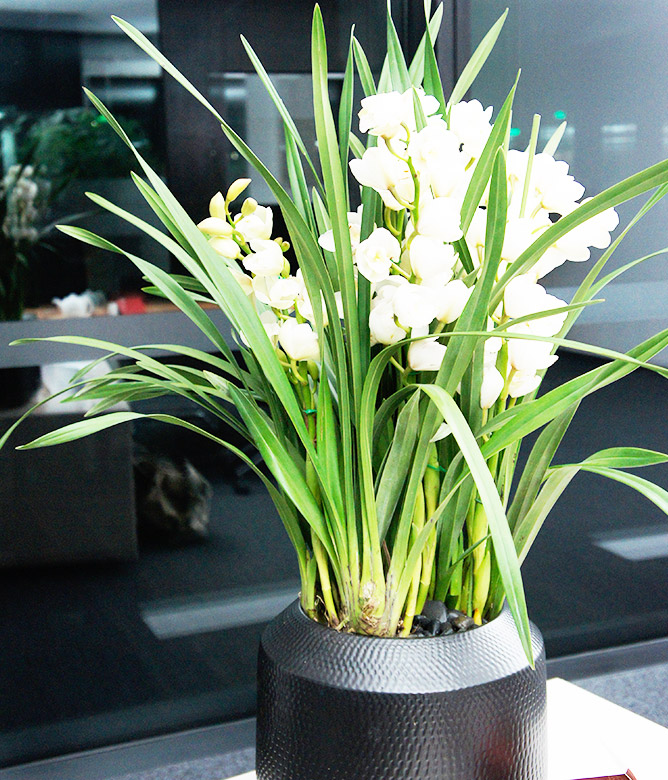 Roche总部固定插花