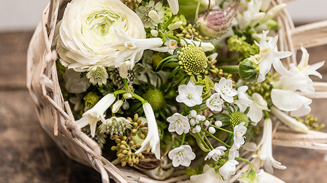 Royal Flowers产品中的绿植花艺 ，对我们生活空间的影响！