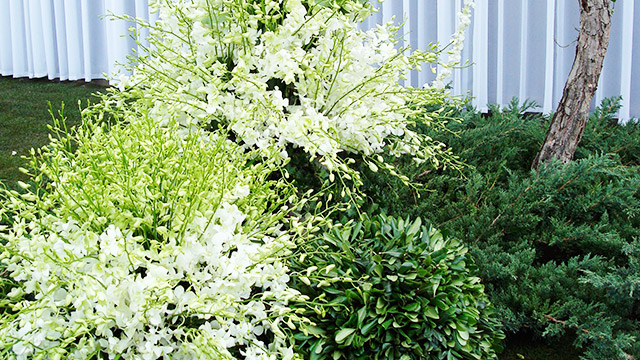 有关花艺设计的八种基本造型介绍！