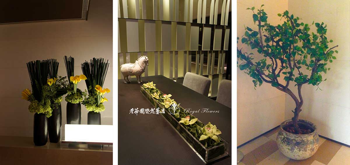 九间堂 十乐 售楼中心装饰