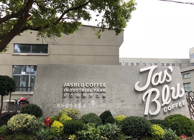 王力咖啡梦工场环境装饰