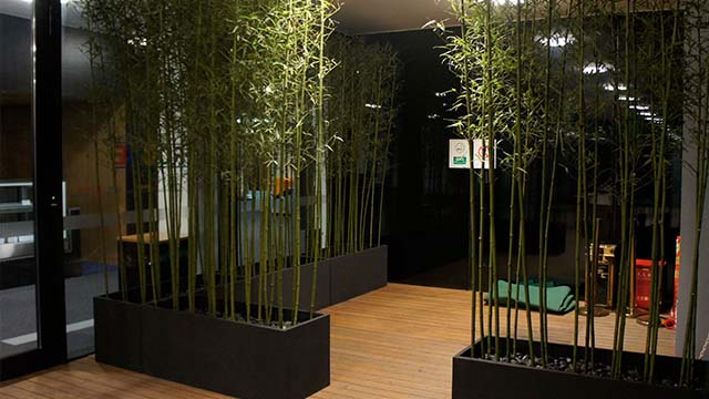 Roche公司总部装饰