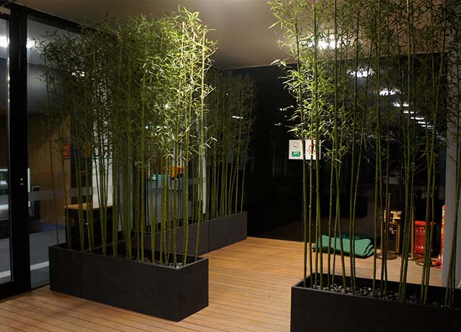 Roche公司总部装饰