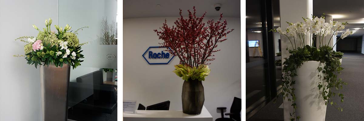 Roche公司总部装饰