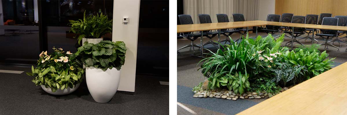 Roche公司总部装饰