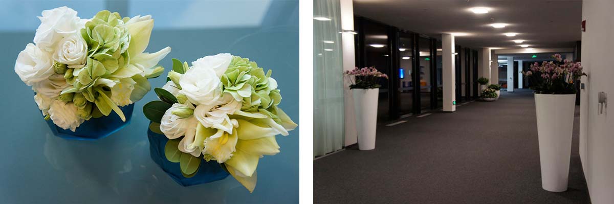 Roche公司总部装饰